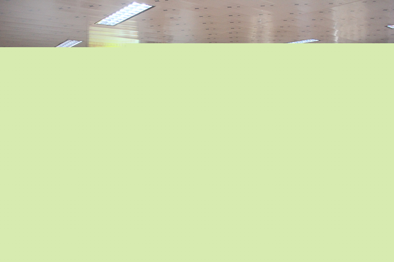 1669619743234178.jpg