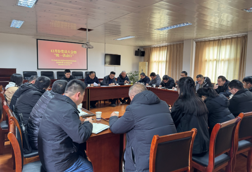 南部路橋12月份黨員大會(huì)擴(kuò)大會(huì)議圓滿(mǎn)完成既定議程